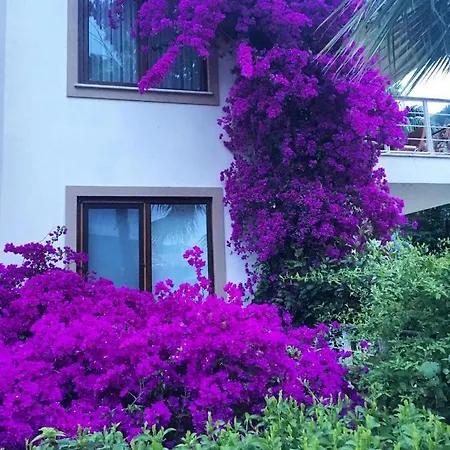 公寓 Centre W/pool In Gocek - Marigold *
